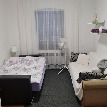 Apartman "Britanac" ザグレブ エクステリア 写真